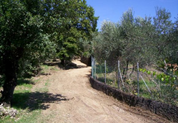 Realizzazione Strada Bianca