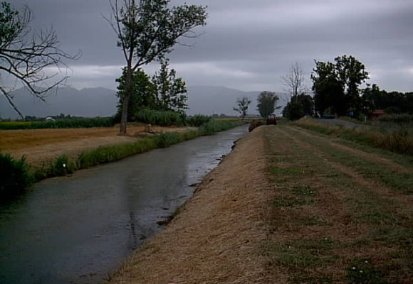 Manutenzione Ordinaria Canali e Argini