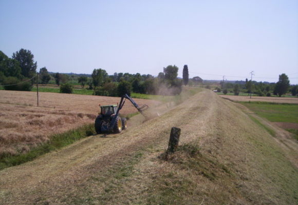 Sfalcio Meccanico e Cestonatura