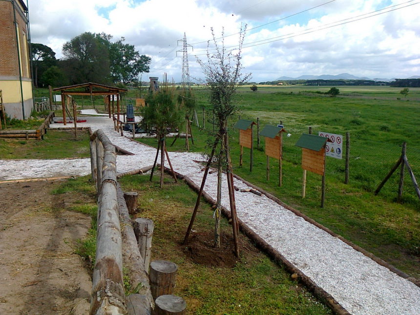 Fiumi Fossi Piantumazione La Vettola