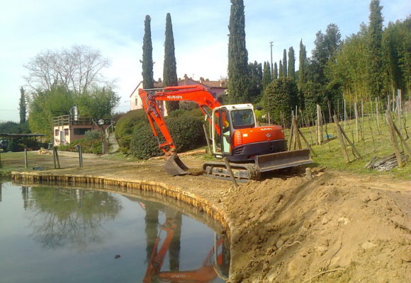 Pali a Colpo per Difesa Spondale Lago