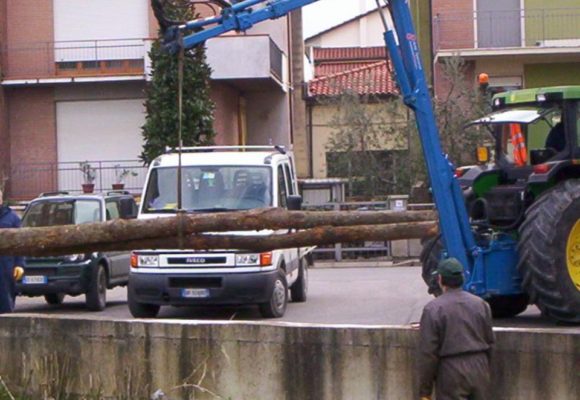 Palificata Parete Semplice