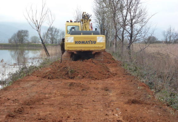 Rotta Argine Bientina